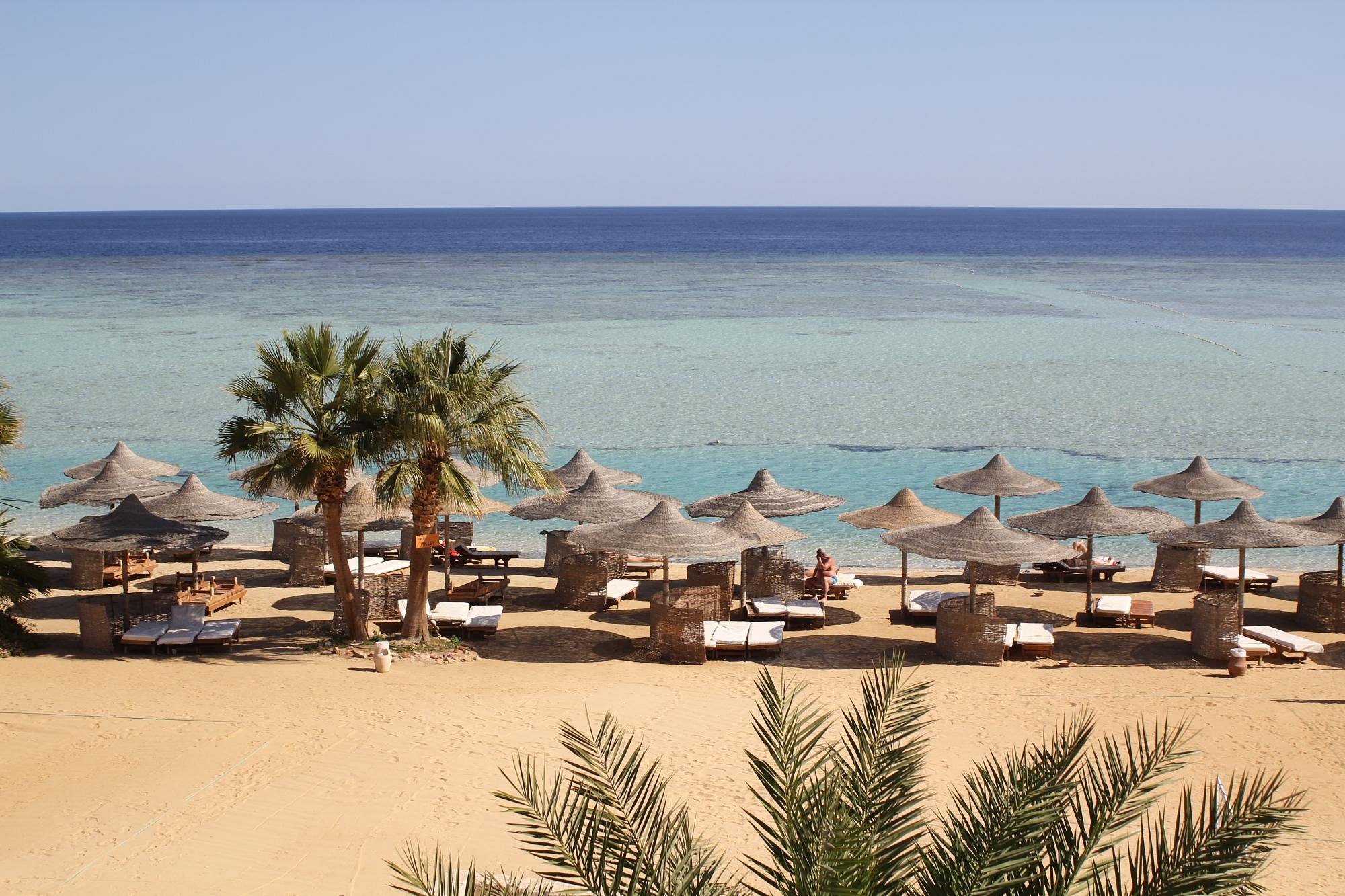 Blue Reef — photo 3
